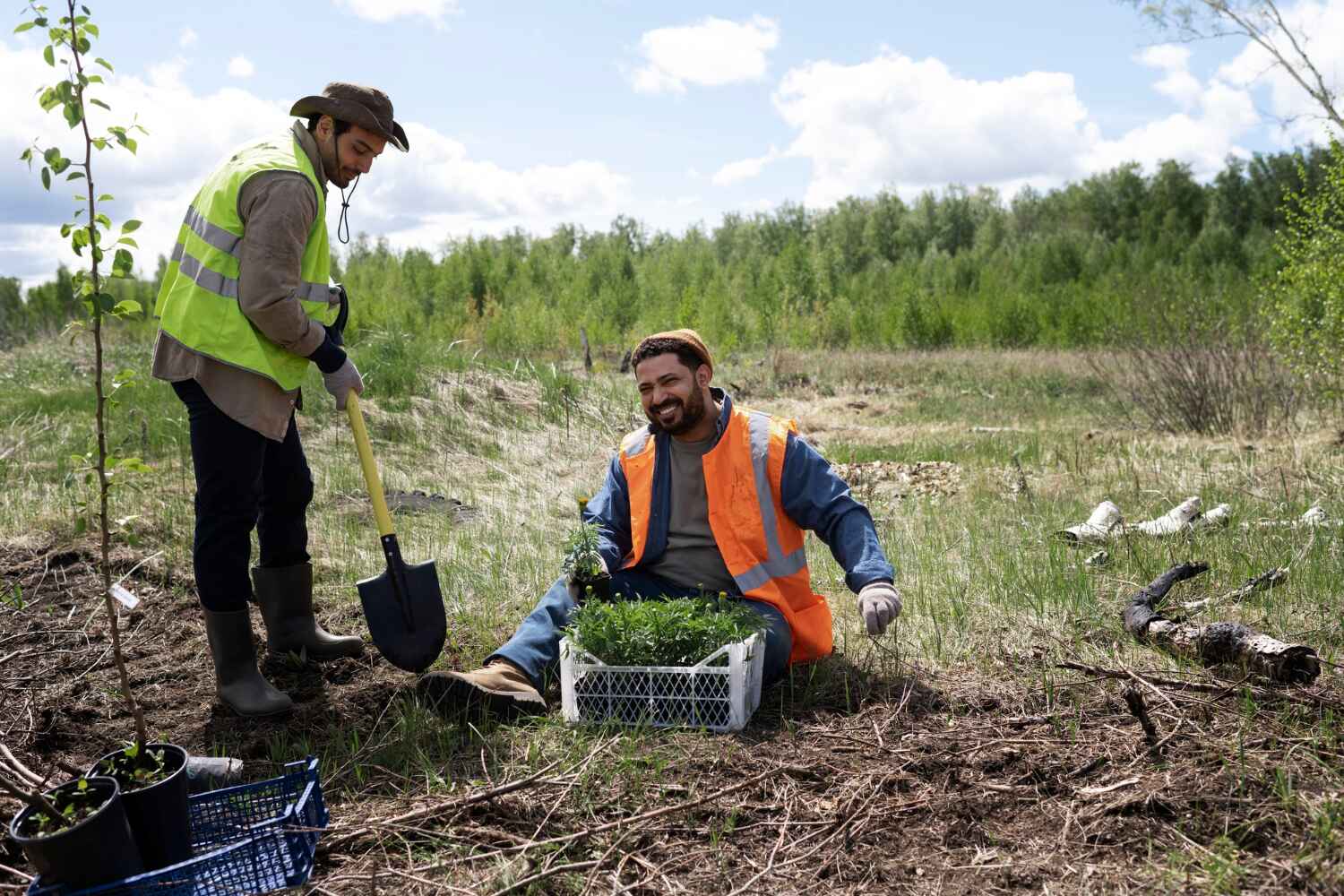 Best Tree Trimming Near Me  in Cherry Hills Village, CO